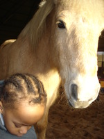 QUAND LE CHEVAL AIDE L'HOMME